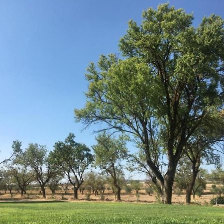 Finca El Relax Colmenar de Oreja 外观 照片