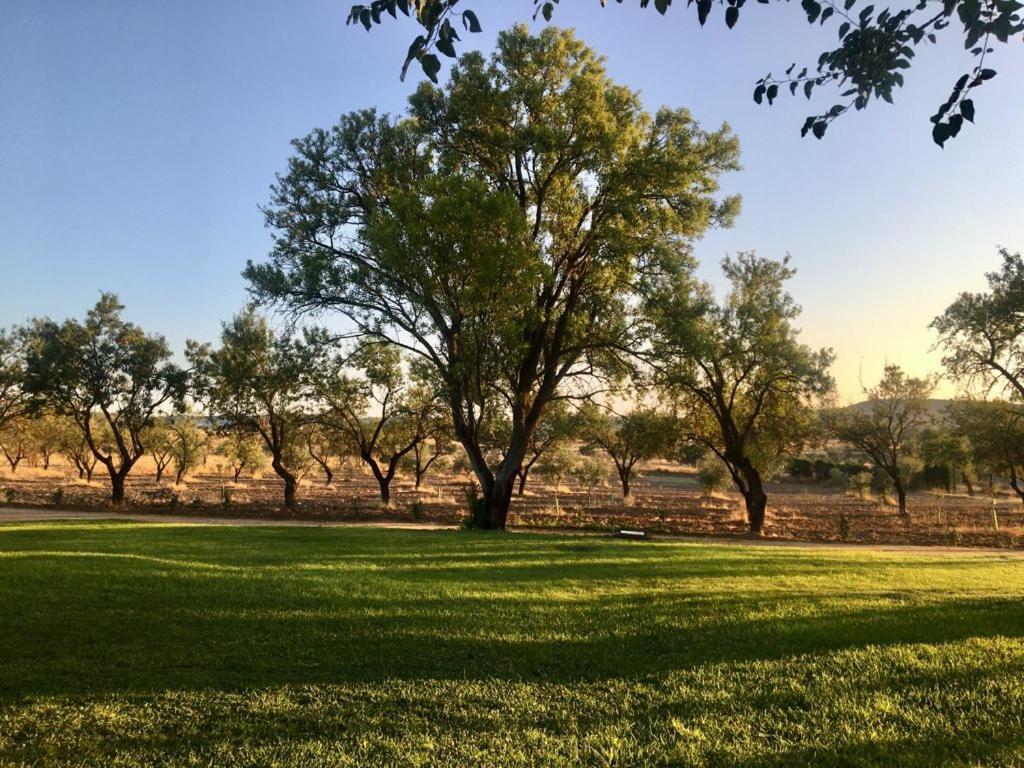 Finca El Relax Colmenar de Oreja 外观 照片